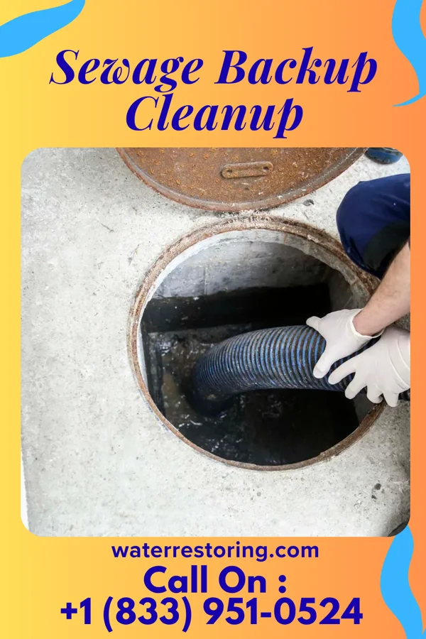 Sewage Backup Cleanup in Winterstown, PA